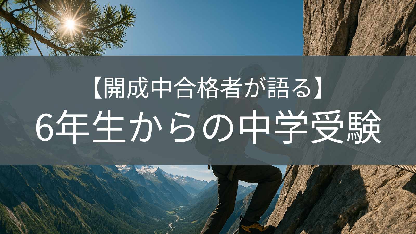 崖を登っている様子